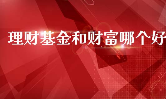 理财基金和财富哪个好_https://www.ltsssb.com_基金频道_第1张