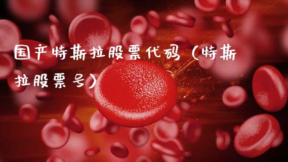 国产特斯拉股票代码（特斯拉股票号）_https://www.ltsssb.com_新股数据_第1张