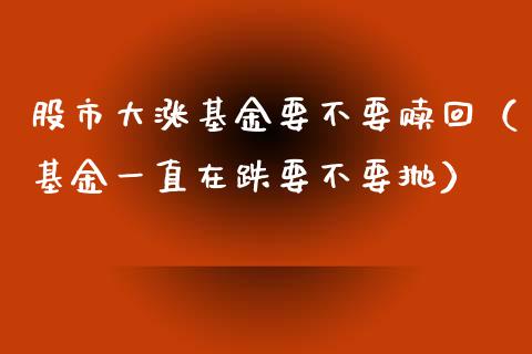 股市大涨基金要不要赎回（基金一直在跌要不要抛）_https://www.ltsssb.com_基金频道_第1张
