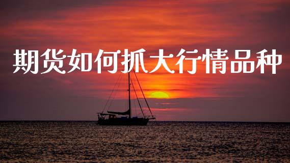 期货如何抓大行情品种_https://www.ltsssb.com_期货密码_第1张