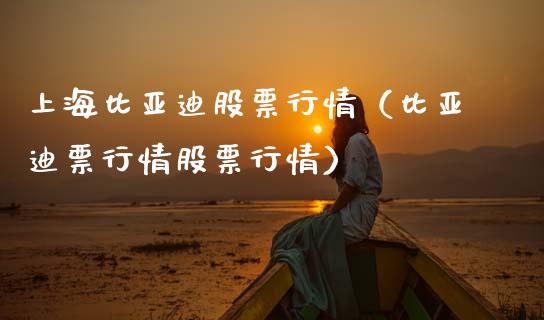 上海比亚迪股票行情（比亚迪票行情股票行情）_https://www.ltsssb.com_股市分析_第1张