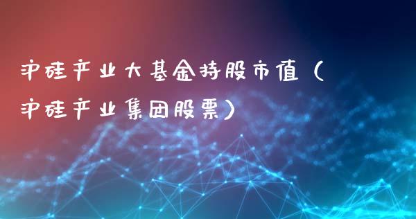 沪硅产业大基金持股市值（沪硅产业集团股票）_https://www.ltsssb.com_基金频道_第1张