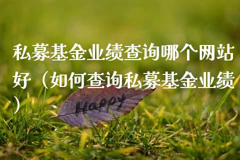 私募基金业绩查询哪个网站好（如何查询私募基金业绩）_https://www.ltsssb.com_国际财经_第1张