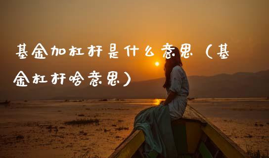 基金加杠杆是什么意思（基金杠杆啥意思）_https://www.ltsssb.com_基金频道_第1张