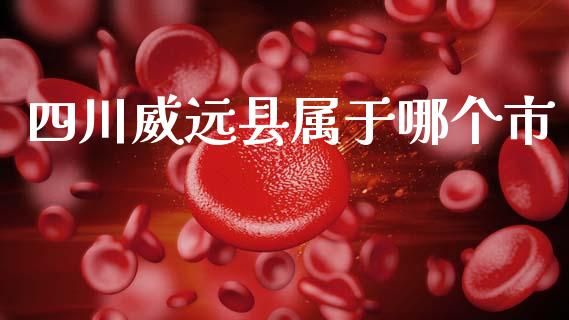 四川威远县属于哪个市_https://www.ltsssb.com_国际财经_第1张