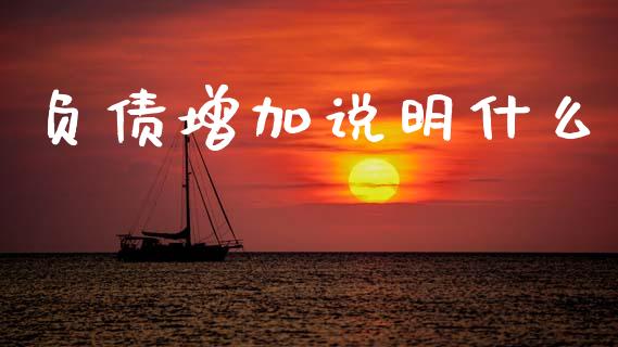 负债增加说明什么_https://www.ltsssb.com_基金频道_第1张
