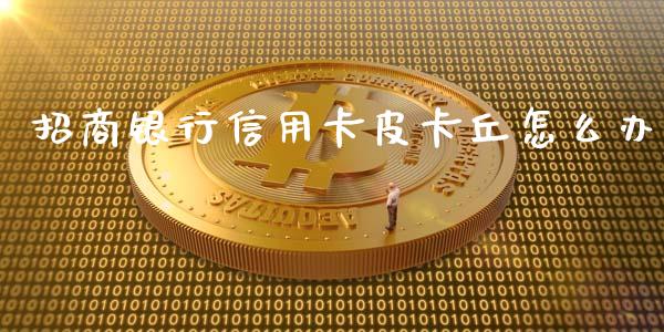 招商银行信用卡皮卡丘怎么办_https://www.ltsssb.com_股票理论_第1张