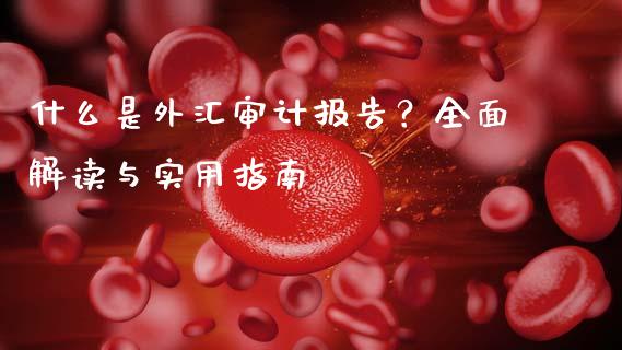 什么是外汇审计报告？全面解读与实用指南_https://www.ltsssb.com_国际财经_第1张