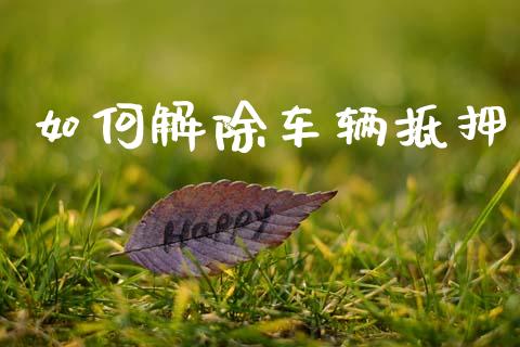如何解除车辆抵押_https://www.ltsssb.com_股票理论_第1张