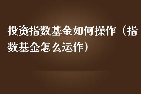 投资指数基金如何操作（指数基金怎么运作）_https://www.ltsssb.com_国际财经_第1张