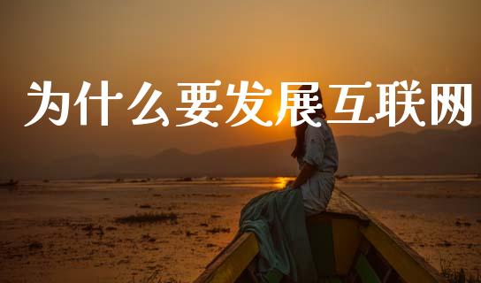 为什么要发展互联网_https://www.ltsssb.com_国际财经_第1张