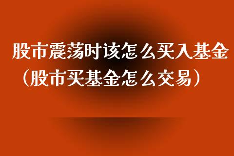 股市震荡时该怎么买入基金（股市买基金怎么交易）_https://www.ltsssb.com_国际财经_第1张