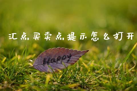 汇点买卖点提示怎么打开_https://www.ltsssb.com_股票理论_第1张