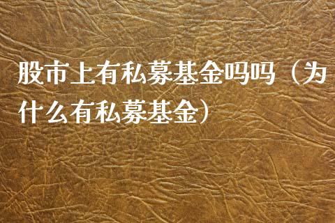 股市上有私募基金吗吗（为什么有私募基金）_https://www.ltsssb.com_基金频道_第1张