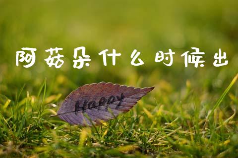 阿菇朵什么时候出_https://www.ltsssb.com_基金频道_第1张