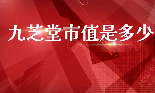 九芝堂市值是多少_https://www.ltsssb.com_国际财经_第1张