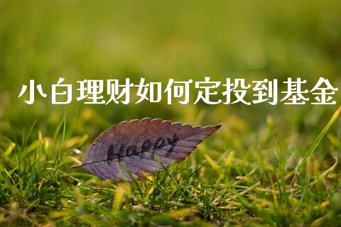 小白理财如何定投到基金_https://www.ltsssb.com_国际财经_第1张