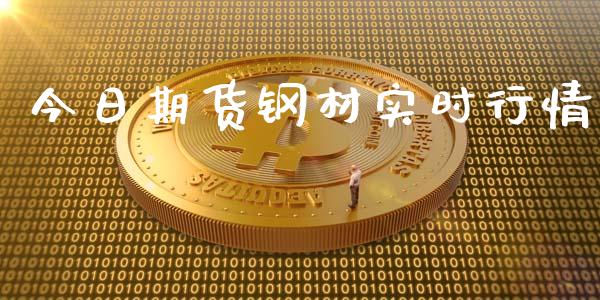 今日期货钢材实时行情_https://www.ltsssb.com_期货行情_第1张
