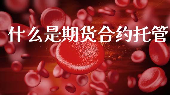 什么是期货合约托管_https://www.ltsssb.com_股票理论_第1张