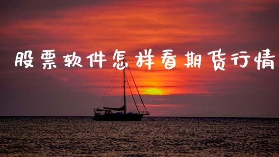 股票软件怎样看期货行情_https://www.ltsssb.com_期货在线_第1张