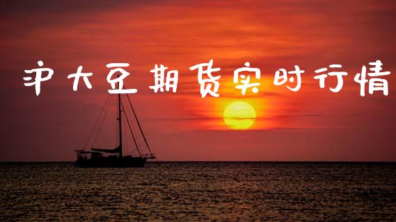 沪大豆期货实时行情_https://www.ltsssb.com_期货在线_第1张