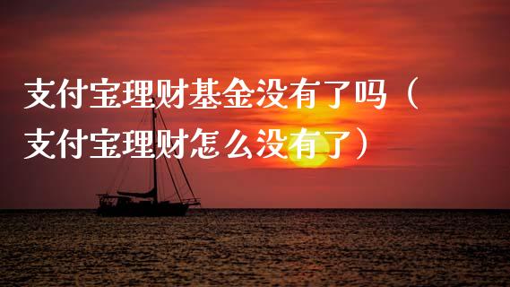 支付宝理财基金没有了吗（支付宝理财怎么没有了）_https://www.ltsssb.com_基金频道_第1张