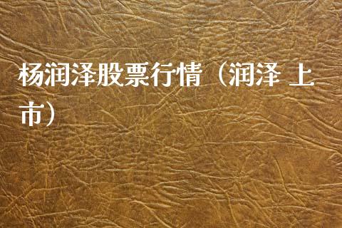杨润泽股票行情（润泽 上市）_https://www.ltsssb.com_新股数据_第1张