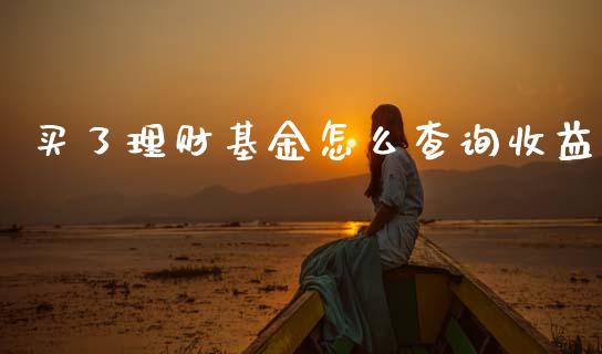 买了理财基金怎么查询收益_https://www.ltsssb.com_基金频道_第1张