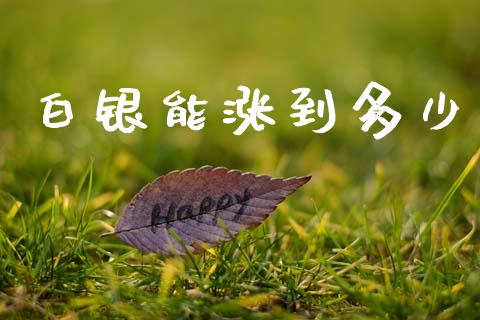 白银能涨到多少_https://www.ltsssb.com_新股数据_第1张