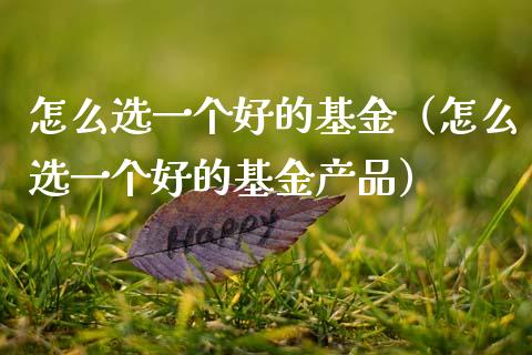怎么选一个好的基金（怎么选一个好的基金产品）_https://www.ltsssb.com_国际财经_第1张