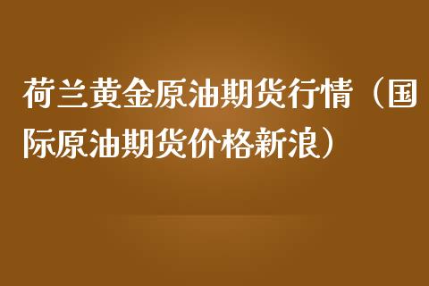 荷兰黄金原油期货行情（国际原油期货价格新浪）_https://www.ltsssb.com_期货密码_第1张