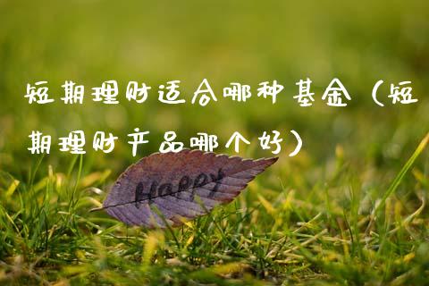 短期理财适合哪种基金（短期理财产品哪个好）_https://www.ltsssb.com_基金频道_第1张
