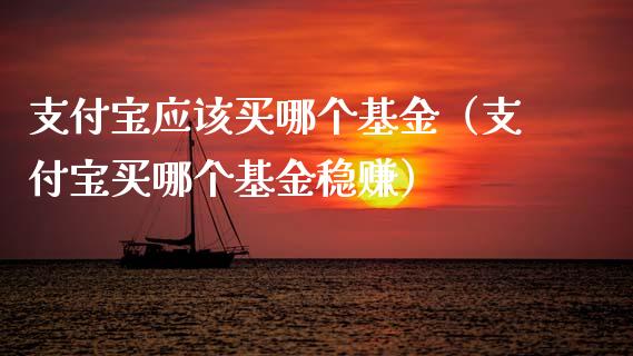 支付宝应该买哪个基金（支付宝买哪个基金稳赚）_https://www.ltsssb.com_基金频道_第1张