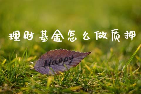 理财基金怎么做质押_https://www.ltsssb.com_基金频道_第1张
