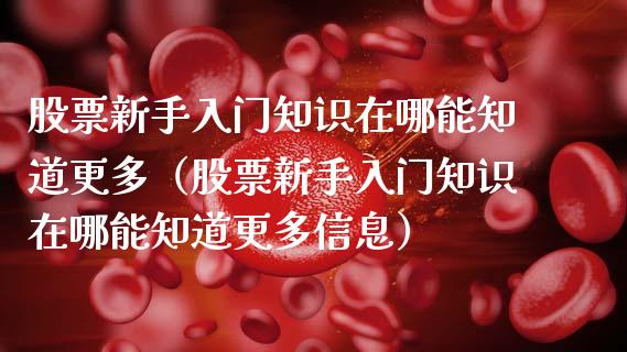 股票新手入门知识在哪能知道更多（股票新手入门知识在哪能知道更多信息）_https://www.ltsssb.com_股票理论_第1张