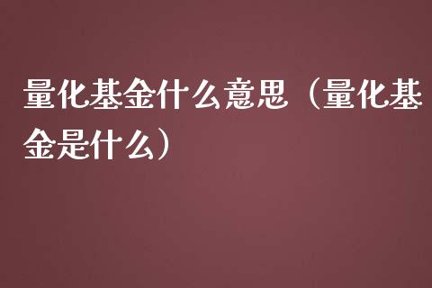 量化基金什么意思（量化基金是什么）_https://www.ltsssb.com_国际财经_第1张