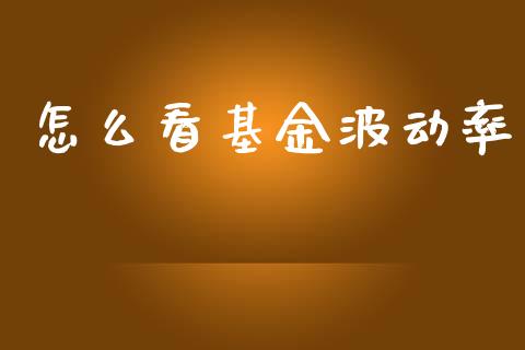 怎么看基金波动率_https://www.ltsssb.com_国际财经_第1张