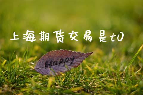 上海期货交易是t0_https://www.ltsssb.com_期货在线_第1张