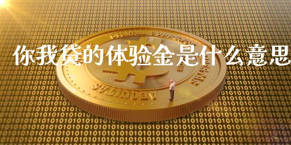 你我贷的体验金是什么意思_https://www.ltsssb.com_基金频道_第1张