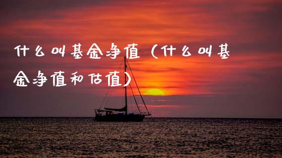 什么叫基金净值（什么叫基金净值和估值）_https://www.ltsssb.com_国际财经_第1张