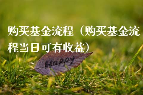 购买基金流程（购买基金流程当日可有收益）_https://www.ltsssb.com_国际财经_第1张