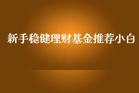 新手稳健理财基金推荐小白_https://www.ltsssb.com_基金频道_第1张