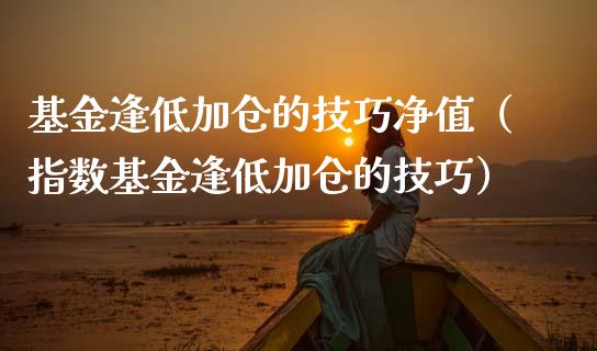 基金逢低加仓的技巧净值（指数基金逢低加仓的技巧）_https://www.ltsssb.com_基金频道_第1张