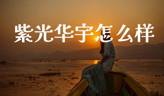 紫光华宇怎么样_https://www.ltsssb.com_期货密码_第1张