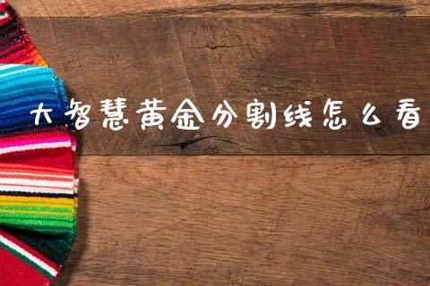 大智慧黄金分割线怎么看_https://www.ltsssb.com_股市分析_第1张