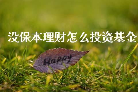 没保本理财怎么投资基金_https://www.ltsssb.com_基金频道_第1张