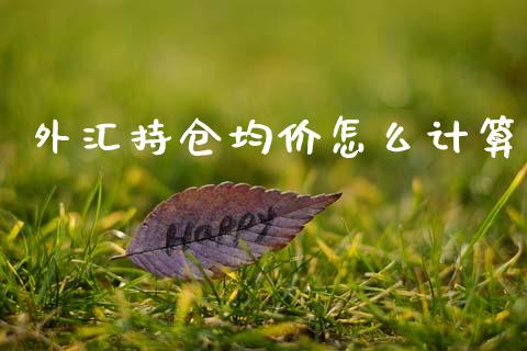外汇持仓均价怎么计算_https://www.ltsssb.com_股票理论_第1张