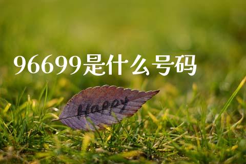 96699是什么号码_https://www.ltsssb.com_国际财经_第1张