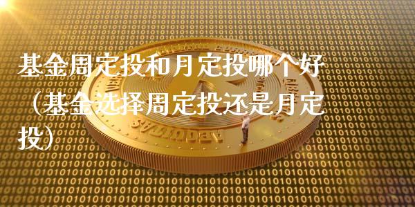 基金周定投和月定投哪个好（基金选择周定投还是月定投）_https://www.ltsssb.com_国际财经_第1张