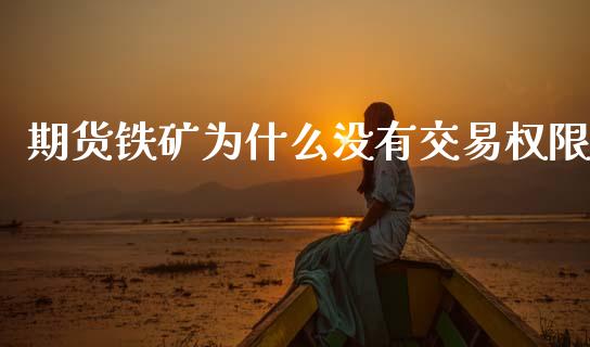 期货铁矿为什么没有交易权限_https://www.ltsssb.com_期货行情_第1张
